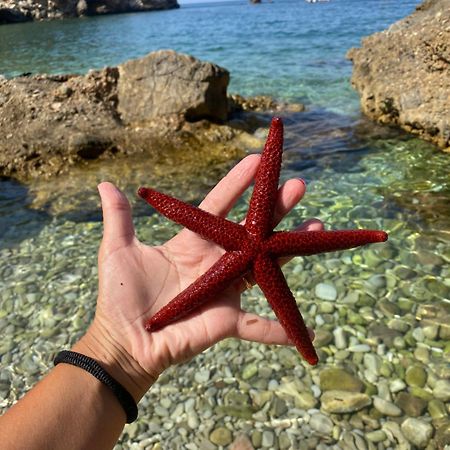 Appartamento Barone Castellammare del Golfo Eksteriør bilde