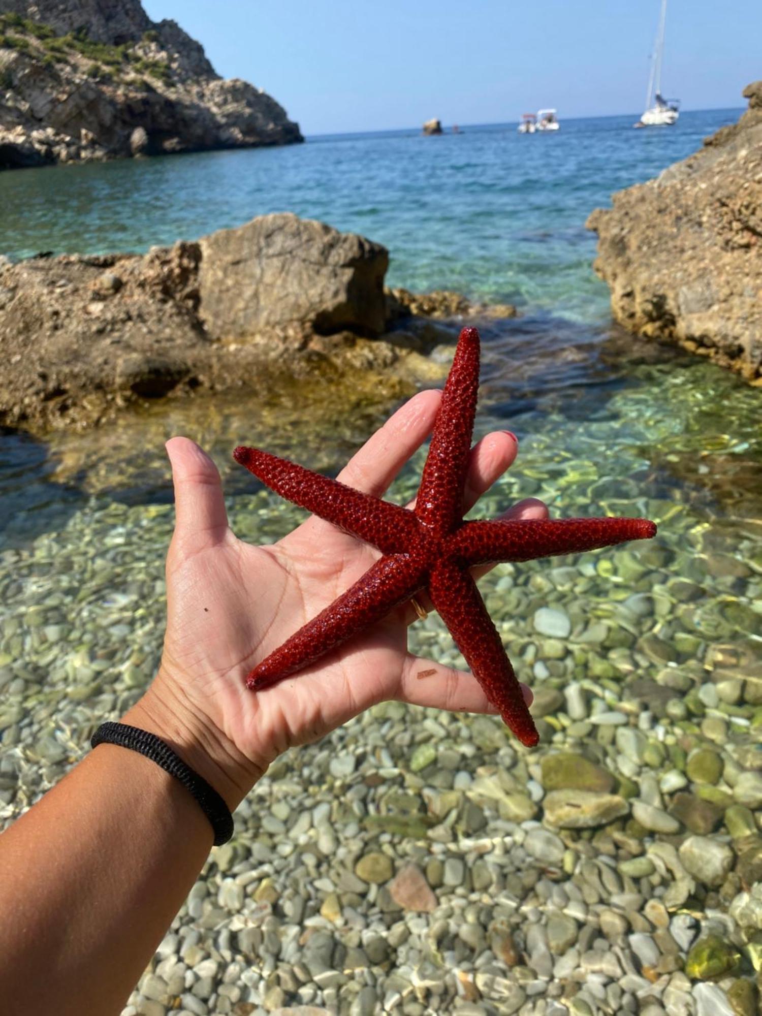 Appartamento Barone Castellammare del Golfo Eksteriør bilde